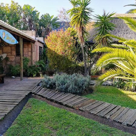 Saltycrax Backpackers And Surf Hostel By Curiocity Bloubergstrand Εξωτερικό φωτογραφία