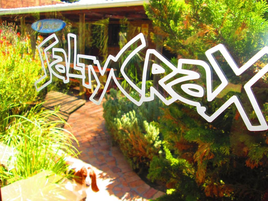 Saltycrax Backpackers And Surf Hostel By Curiocity Bloubergstrand Εξωτερικό φωτογραφία