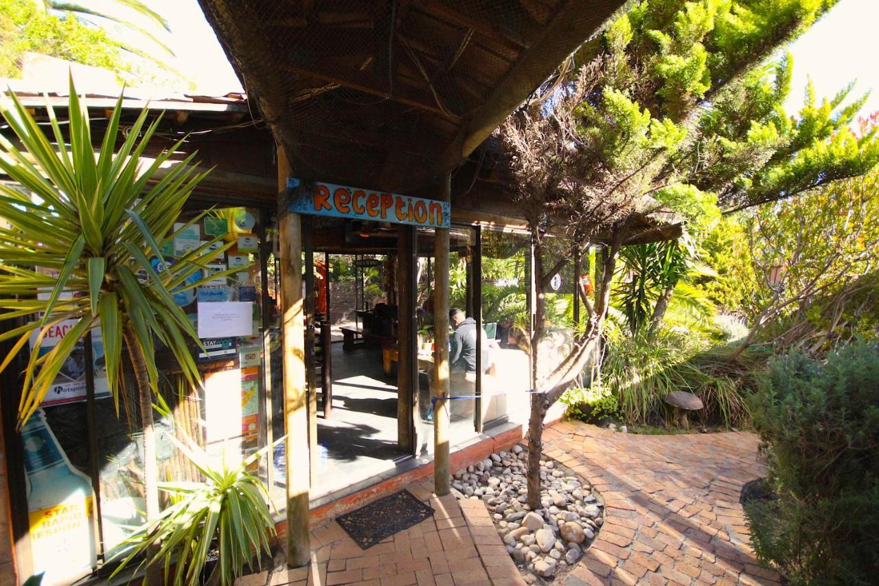 Saltycrax Backpackers And Surf Hostel By Curiocity Bloubergstrand Εξωτερικό φωτογραφία